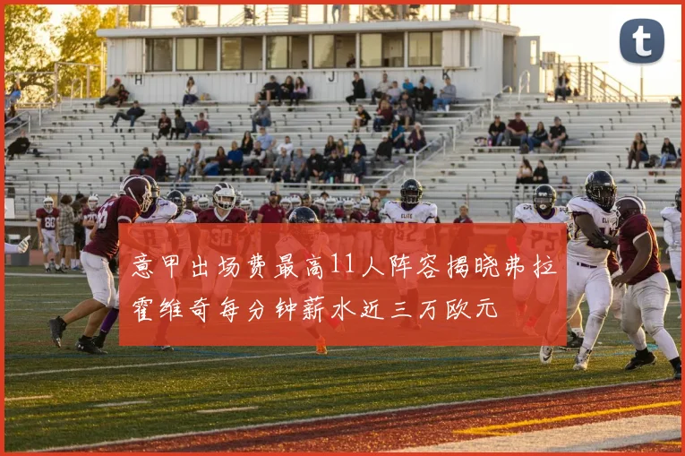 意甲出场费最高11人阵容揭晓弗拉霍维奇每分钟薪水近三万欧元